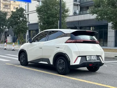 BYD Seagull
