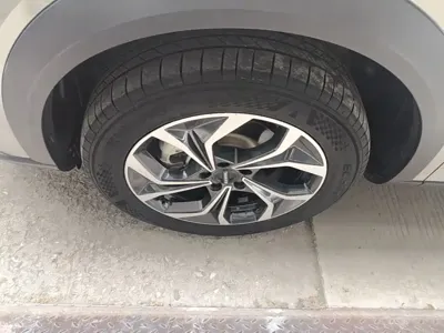 Haval Shenshou