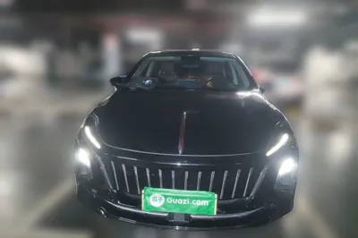 Hongqi E-QM5
