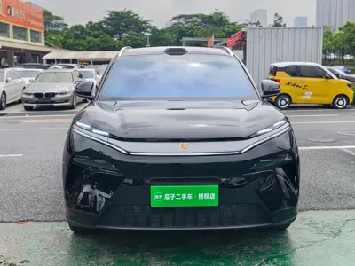 BYD 唐L