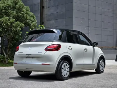 Wuling Bingo