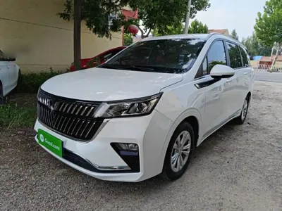 Wuling Jiachen