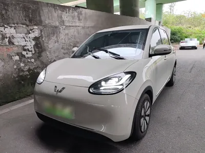 Wuling Bingo