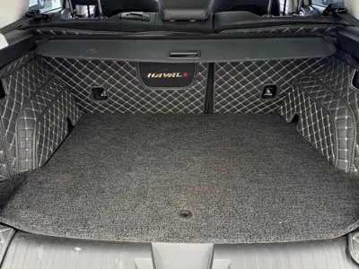 Haval Big Dog