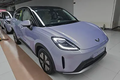 Wuling Bingo S
