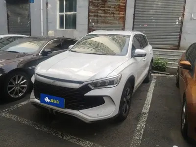 BYD Pro New Energy