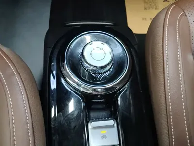 Wuling Bingo