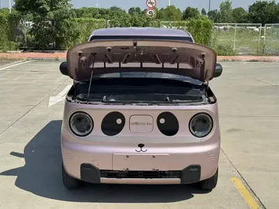 Galaxy Panda