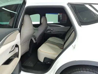 BYD Pro New Energy