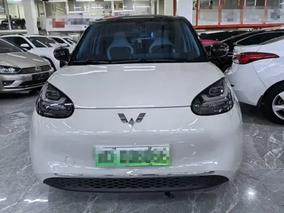 Wuling Bingo