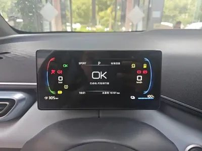 BYD Seagull