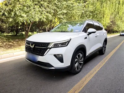 Wuling Asta