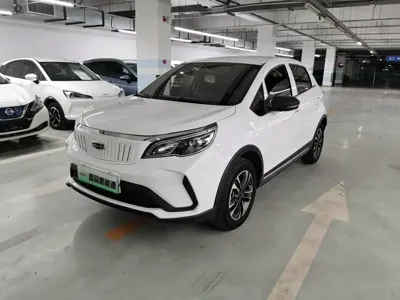 Geometry EX3 Kung Fu Bull