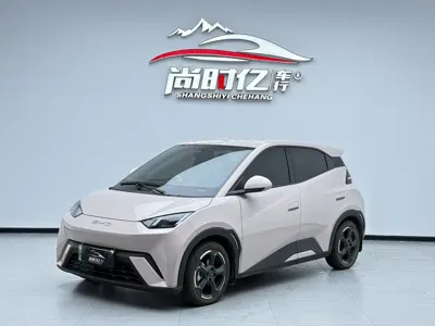 BYD Seagull