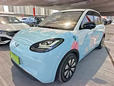 Wuling Bingo