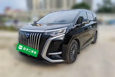 Denza D9