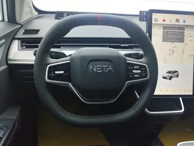 NETA Neta AYA
