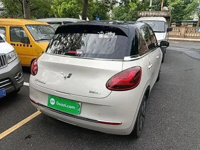 Wuling Bingo