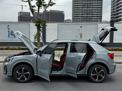 Audi Q2L e-tron