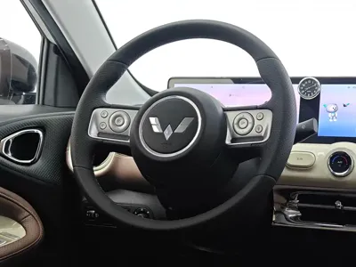 Wuling Bingo