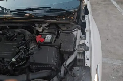Ford Evos