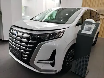 Denza Denza D9