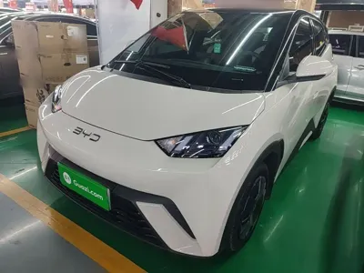 BYD Seagull