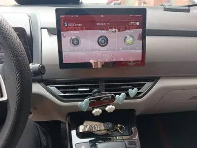 BYD Yuan Pro