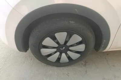 Wuling Bingo