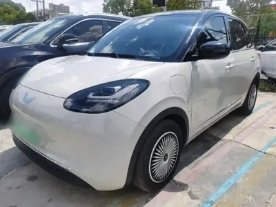 Wuling Bingo