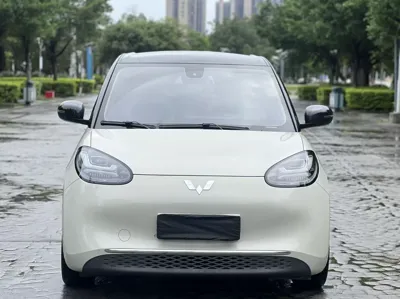 Wuling Bingo