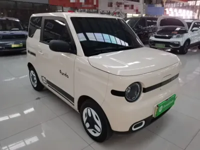 Geely Galaxy Panda