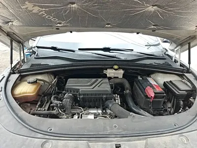 BYD PLUS
