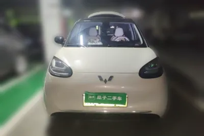 Wuling Bingo