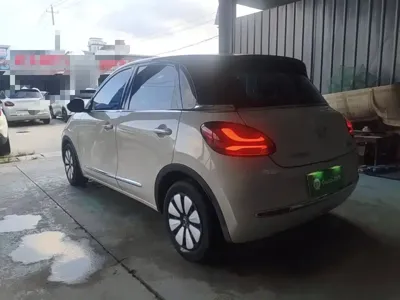 Wuling Bingo