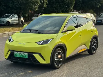 BYD Seagull
