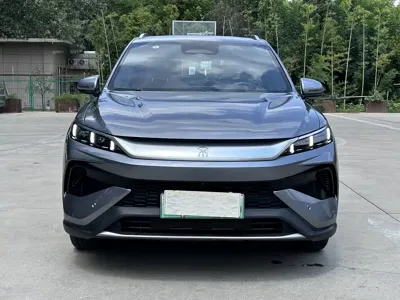 BYD Pro New Energy