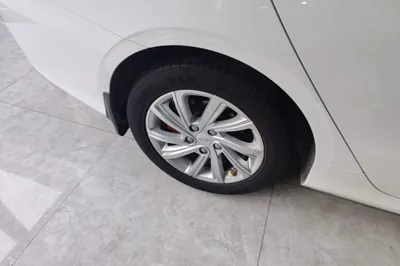 Geely Auto Binray