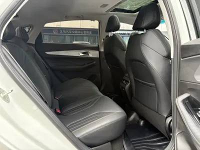 Geely Binrui