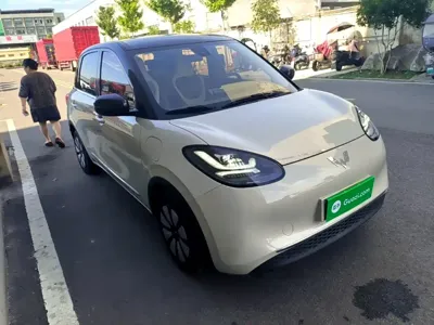 Wuling Bingo