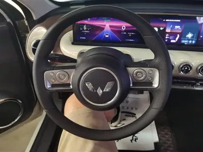 Wuling Bingo