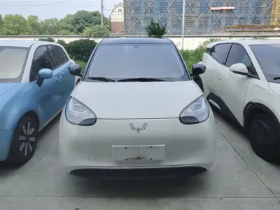Wuling Bingo