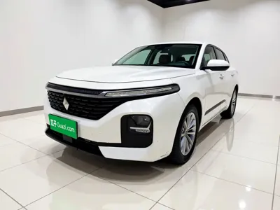 Baojun RC-5