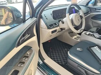 ORA Ora Good Cat