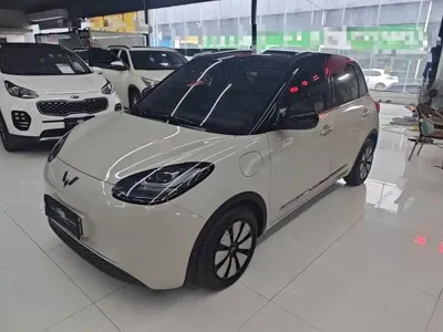 Wuling Bingo