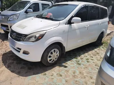 BAW Weiwang M20