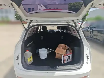 Baojun 310W