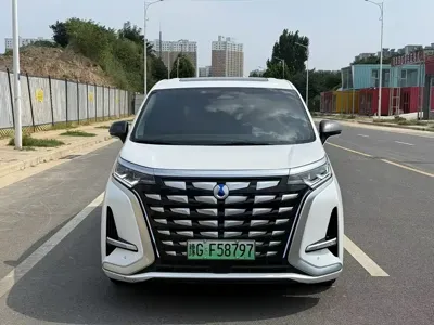 Denza Denza D9