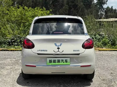 Wuling Bingo