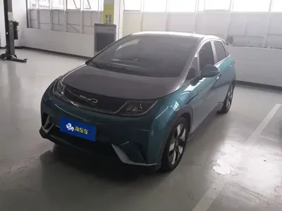 BYD Dolphin
